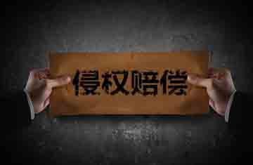 侵權(quán)糾紛